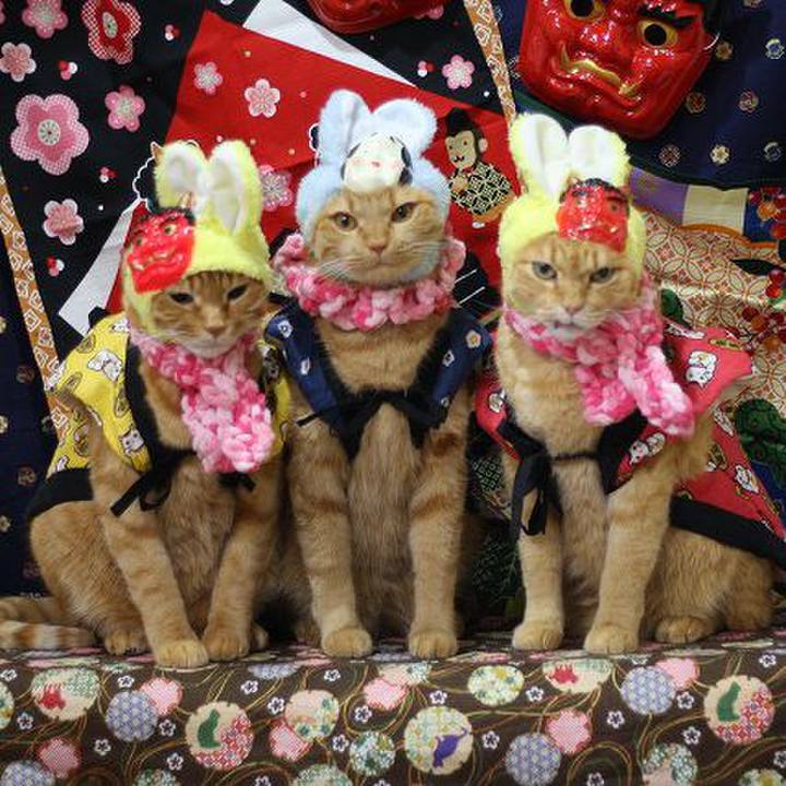 Aa826d97 efb8 4192 9341 b5fd1c94ba9c 1580636687993