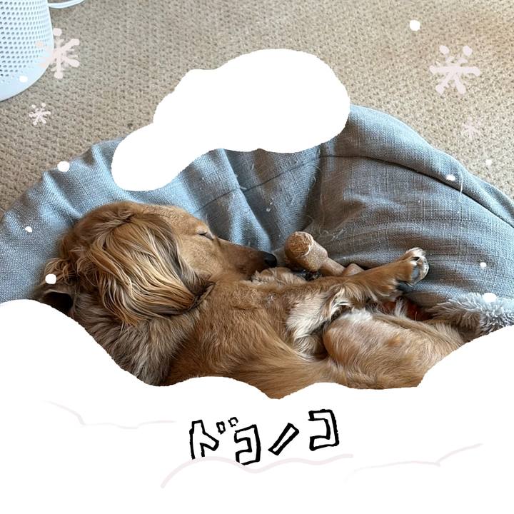 Aa827ca1 4f2c 4e01 9571 1ad1caa80307 1772161712704