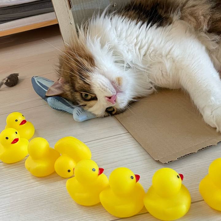 Aa828a08 cb1e 431c a75b 47ce8e33cce4 1658094696536