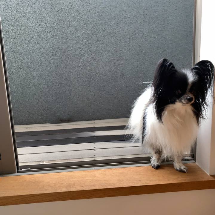 Aa829836 c8bd 449f 8eab 6527b9269253 1558476938378