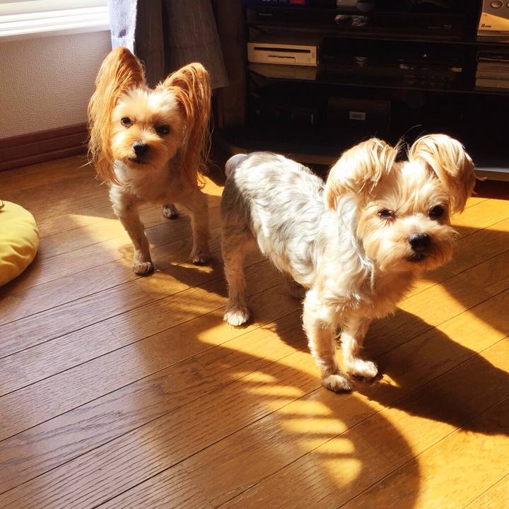 Aa82a44e 15bb 4961 8995 9634674c3847 1536725091172