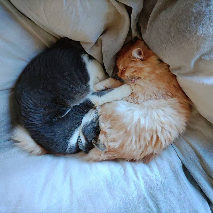 Aa82d723 3c9b 4f5f 839c 523907ab12ce 1667008907053