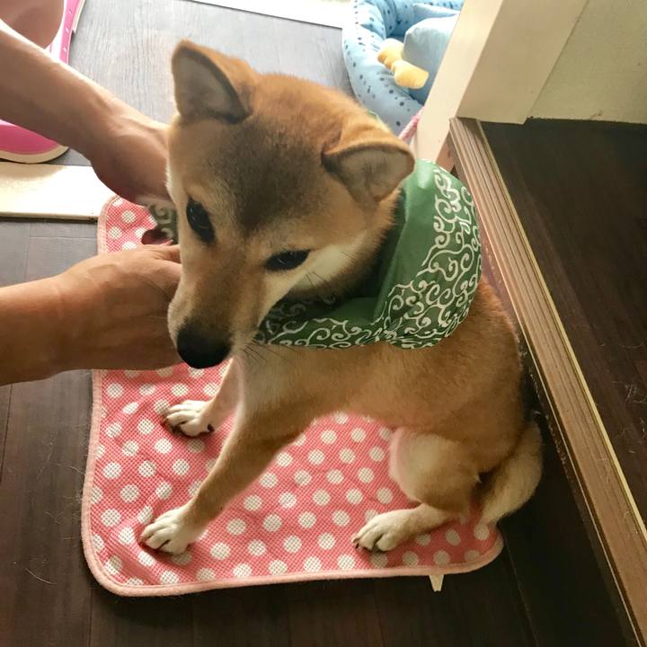 Aa82e3f3 dd07 4350 9aec ab1206619715 1534641522871