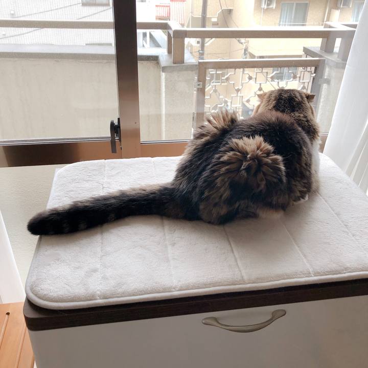 Aa82eec2 5bb0 4c7e ac91 fa991d17950d 1589599950098