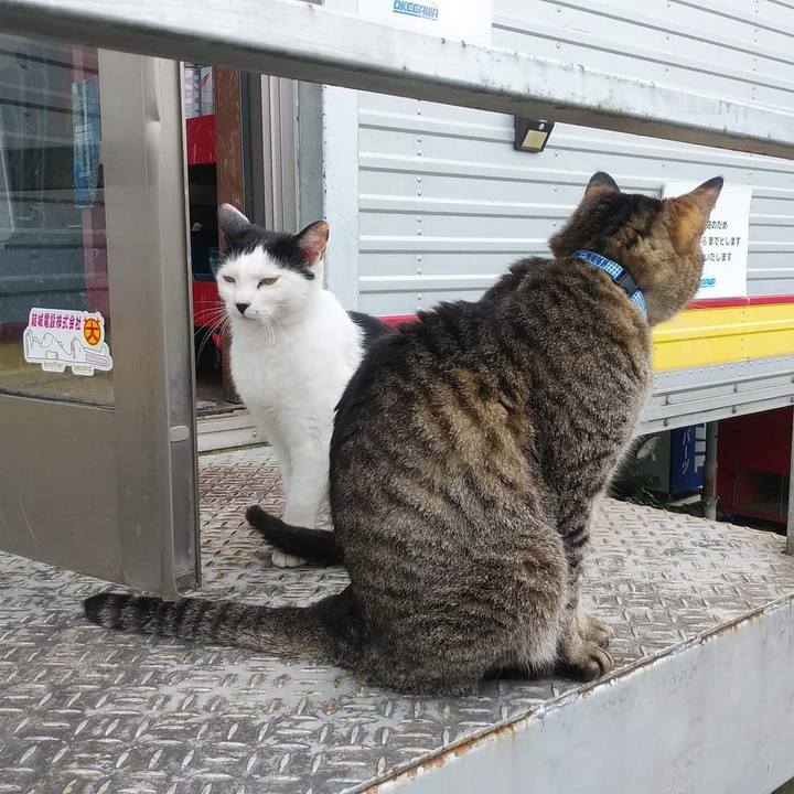 Aa830f2a 18e5 4d2c a02a 252f887b0fb8 1653995348549