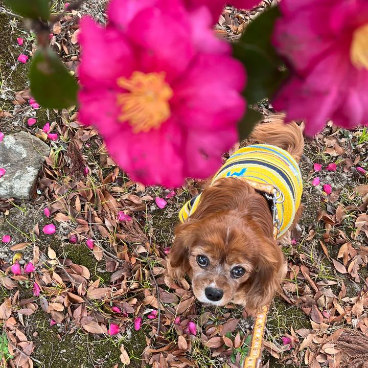 Aa833746 5d25 40bd 8d67 fb1330489e2d 1704241059149