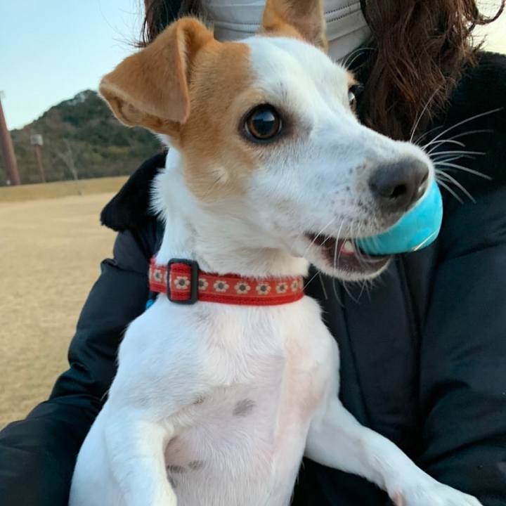 Aa8339ff 41d2 4291 8274 32c9c605f4c2 1577266785782