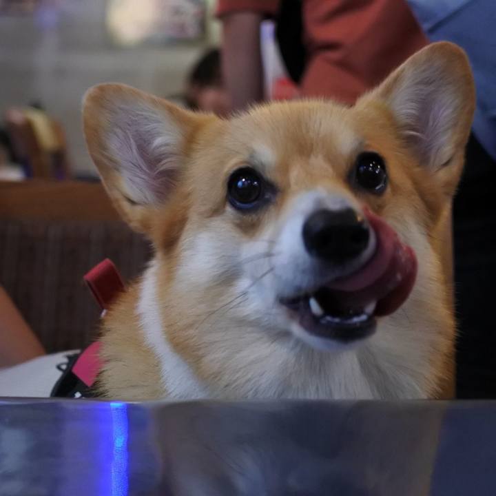 Aa83633e 4176 4f9b a07e 8e76de184b4b 1595253137421