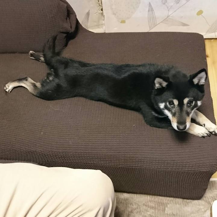 Aa836b6e 7f7d 48be 96e8 a26d0c0657c7 1515932298829