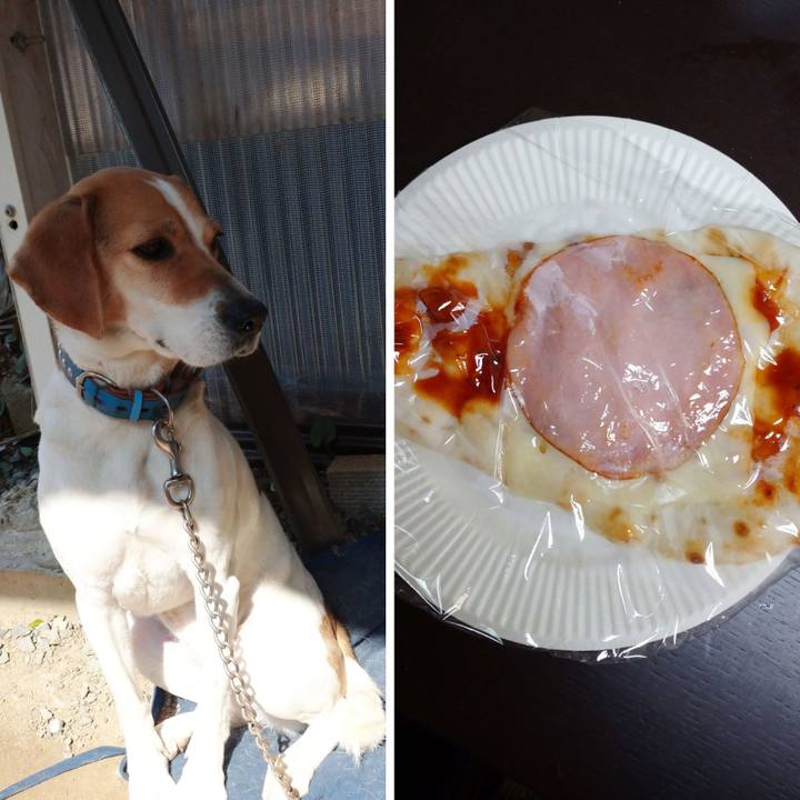 Aa838db7 4967 4e5b a2eb a722d5341299 1616562814573