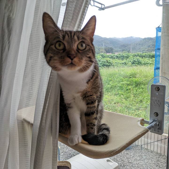 Aa839d2a 3ef9 4269 ad39 ad4e6cc8a5b7 1695691449212