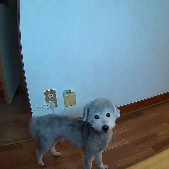 Aa83b0c2 87ae 4850 8d42 faa4ffd22703 1558395143021