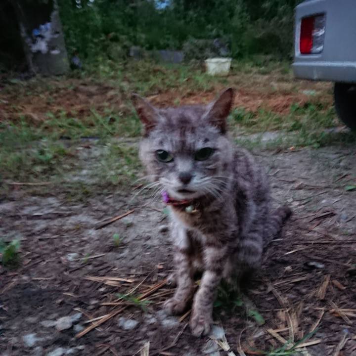 Aa83b2a6 1ebd 411c b565 e9429db74fa6 1598733595172