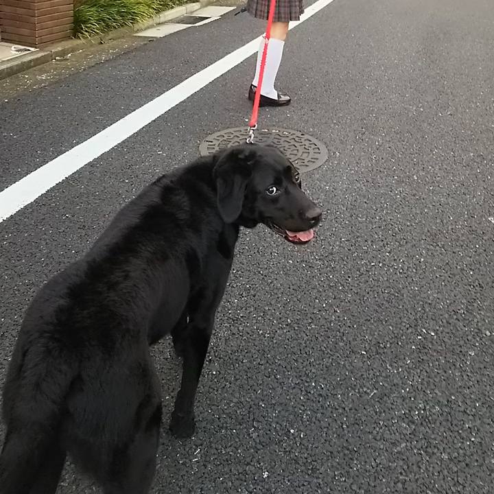 Aa83e280 0122 4d2e bed5 50767a06dd62 1691808732751