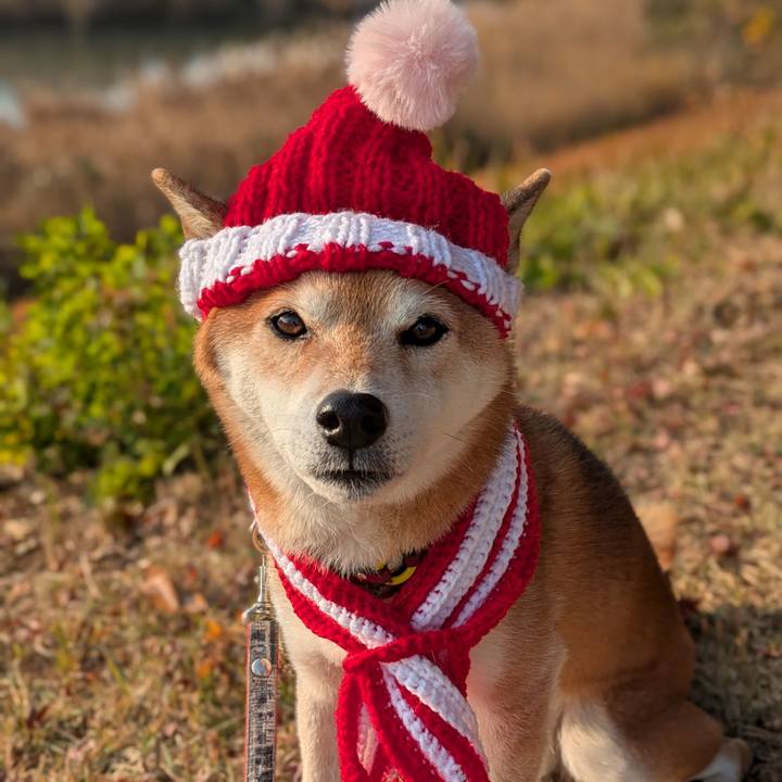 Aa840594 3bf4 4faa 9bc3 481334850c27 1764747466890