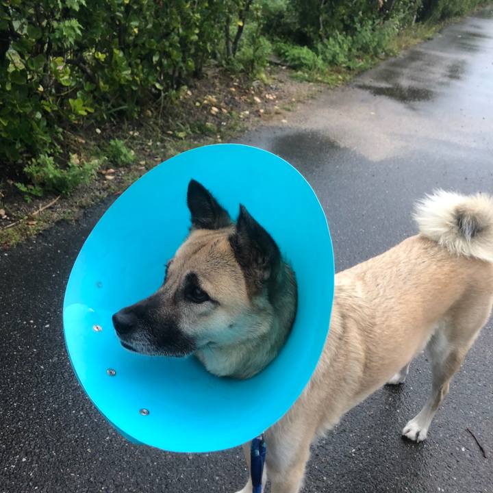 Aa841444 e781 4bfe 8ed7 9230d9b626ea 1636545748165