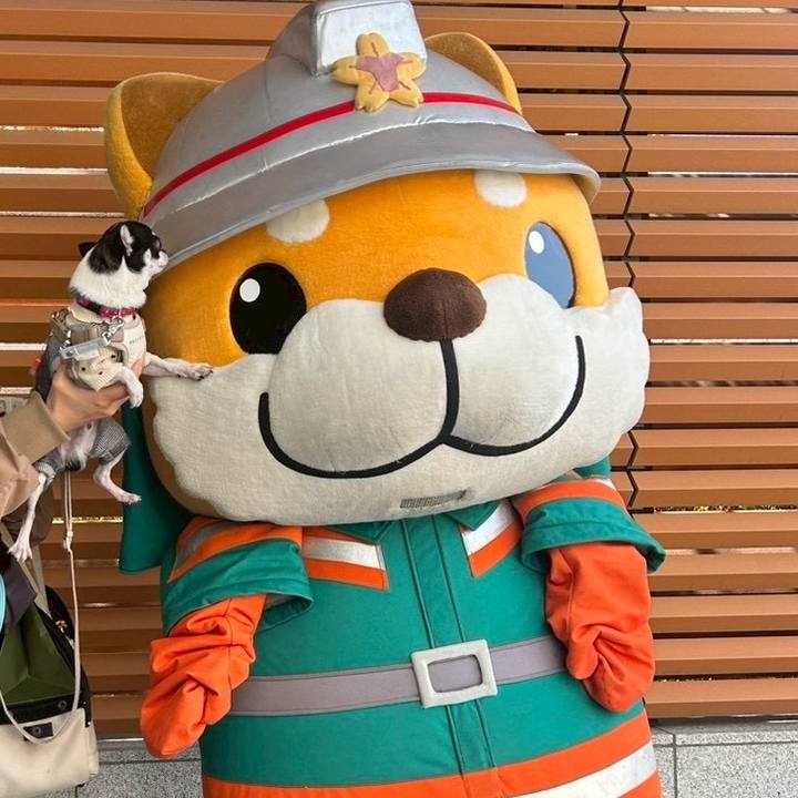 Aa84328d 81c5 4ceb 87ba 9703325058f7 1774217874965