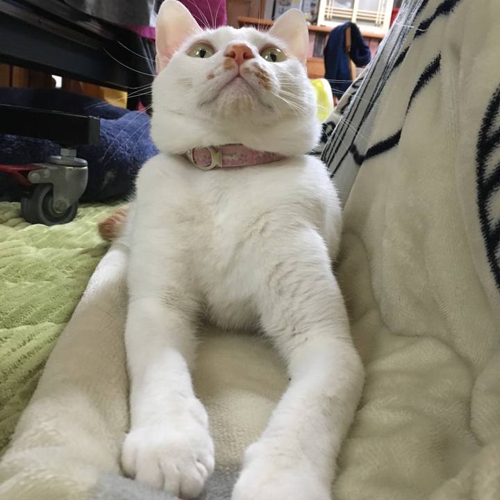 Aa845e96 06eb 4b51 a07f 823d49c97c18 1552905594399