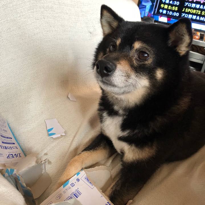 Aa847326 7612 4c46 babb 4b18dc2bf01d 1521010004635