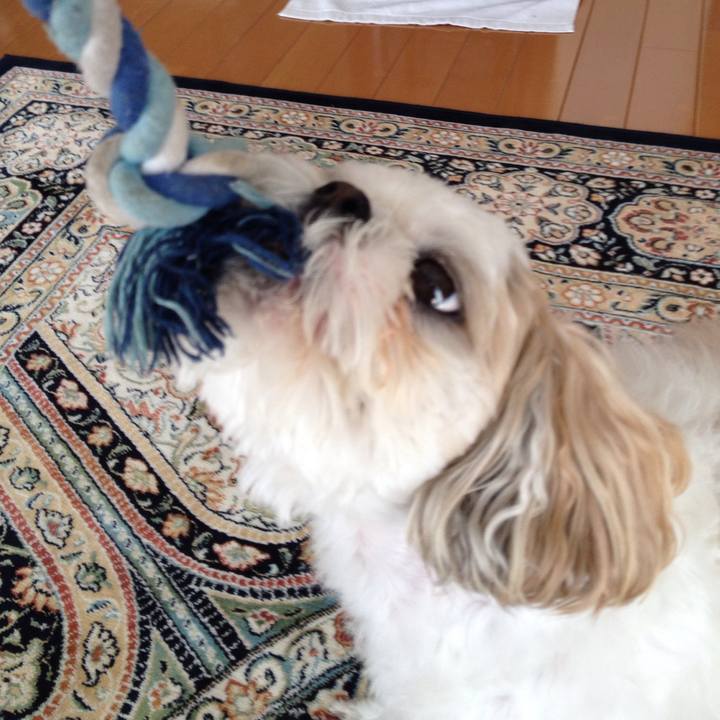 Aa8482a7 a714 4166 979e c3dbd9e6f286 1511656458347