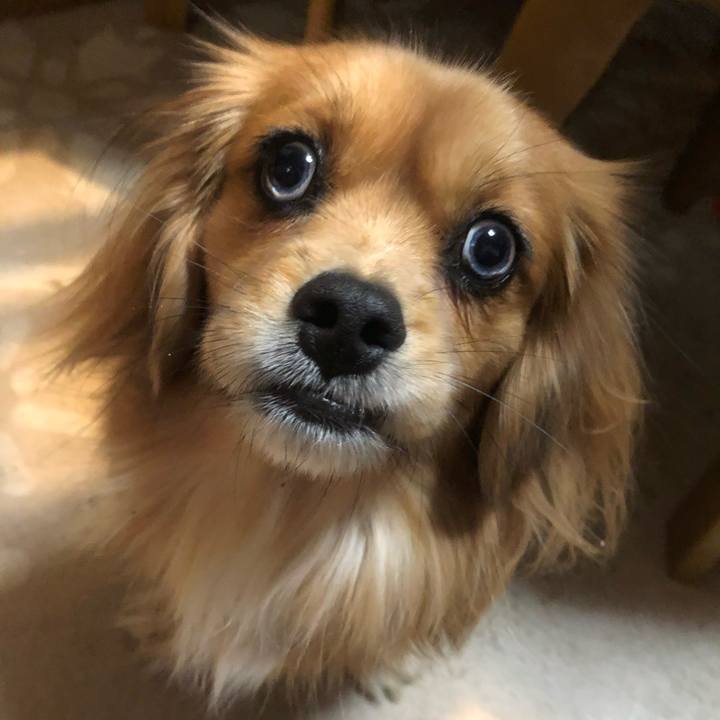 Aa848d10 128b 47f7 bb0f 851946b797cf 1547505486693