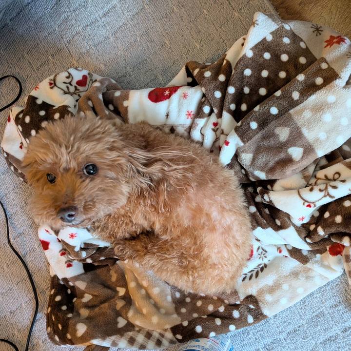 Aa84c9e9 70c7 440b adb0 d9a5e4599ae2 1769916481950