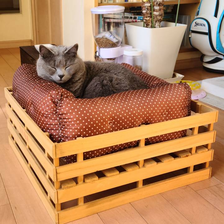 Aa84d597 b001 47e1 8745 e3fcdda79f4c 1610074341821