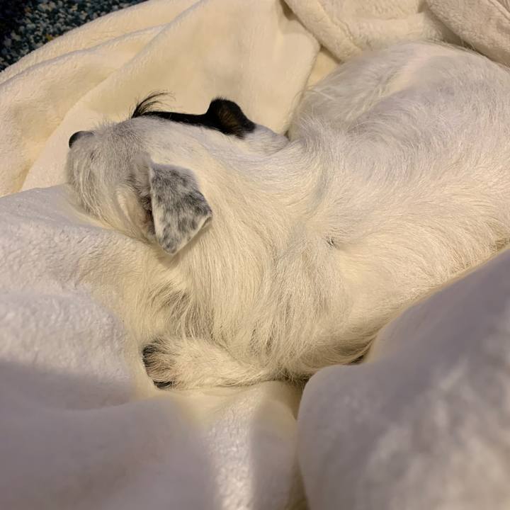 Aa84da82 b397 48d5 8845 57c79c816fc5 1615278961152