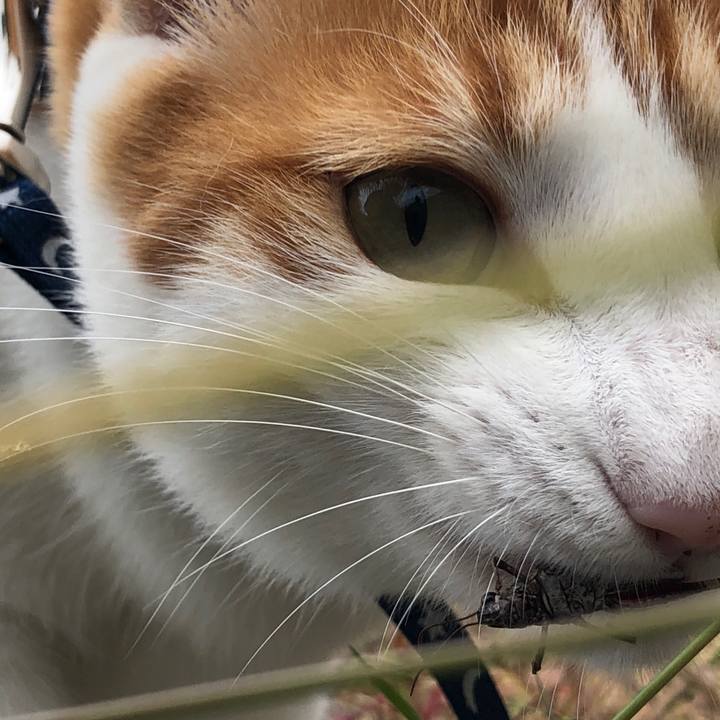 Aa84df2b 7468 4a92 aad4 32d1071a913a 1539573389968