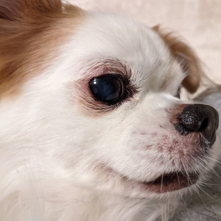 Aa854f7f 6728 4c60 adb4 5f91ff328028 1636468241285