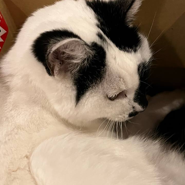 Aa8558bb 1b08 461f a1d0 0aa836623a6f 1768574830807