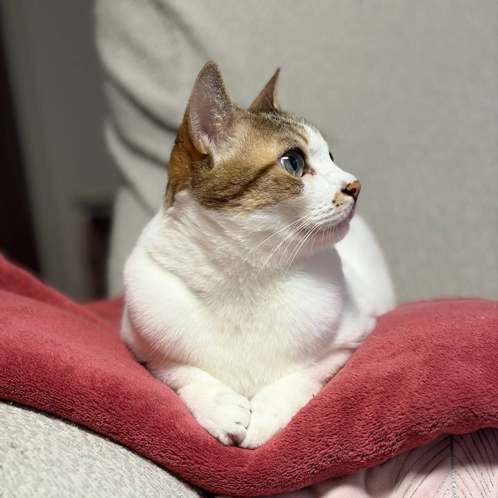 Aa856702 7241 49a1 a137 f5cf008efcc8 1764801293419