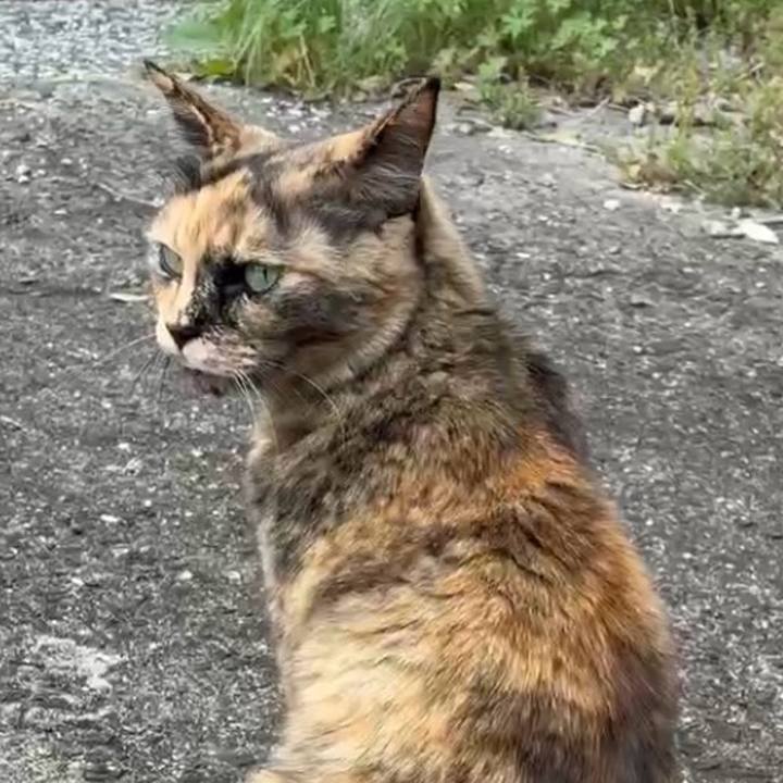 Aa85797d 4ab6 4cab 8694 9c9a9c6ef60d 1774965270599