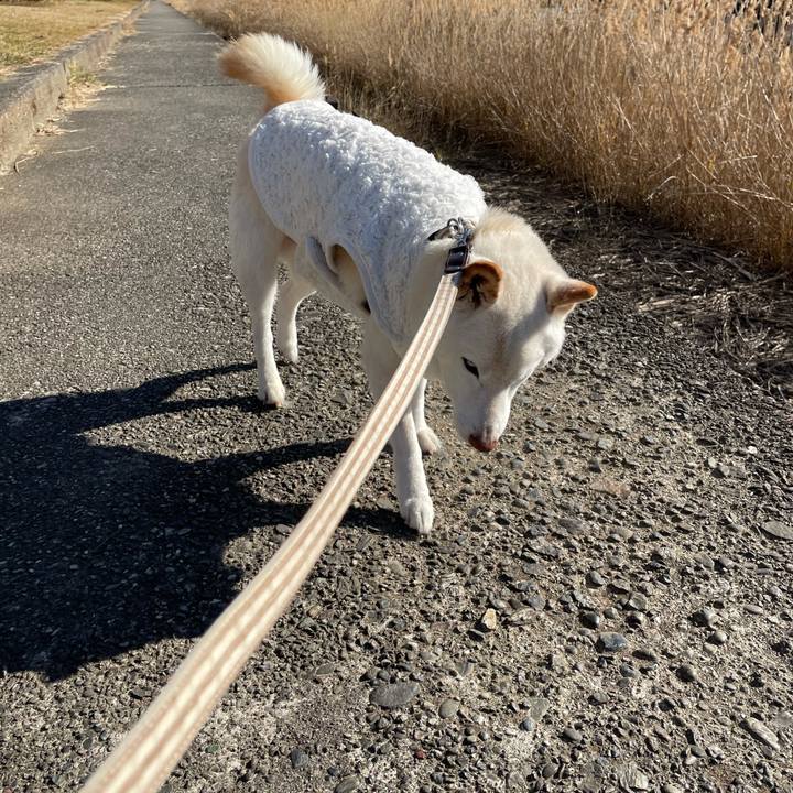 Aa85be3c 15ba 47fe a40f 3c96f1abad23 1641036654114