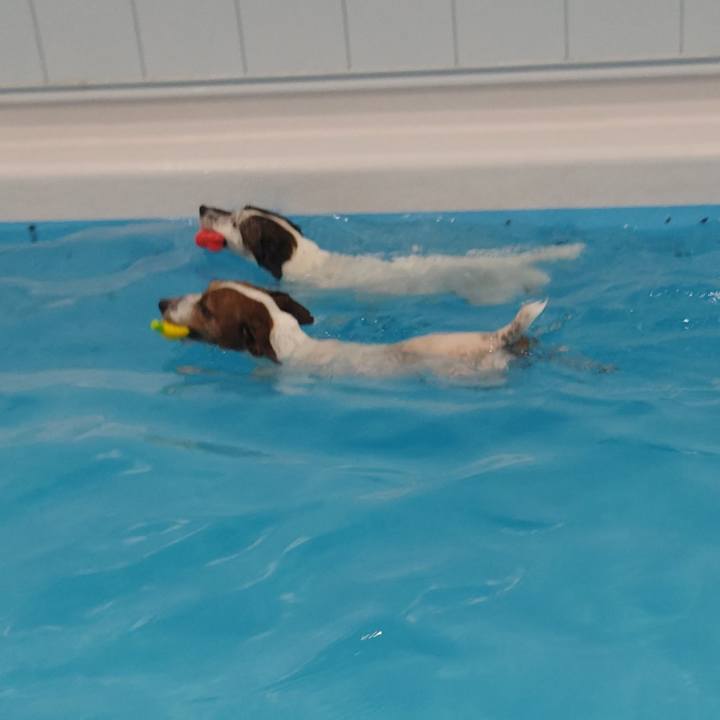 Aa85cede 228b 485b bb10 f8a5f3b8dcbc 1761467877887