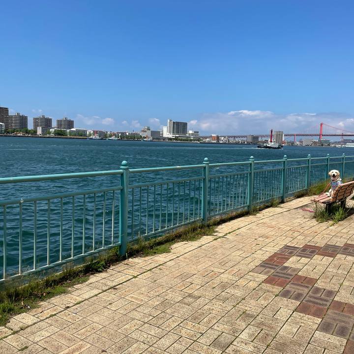 Aa85d048 b520 4046 88ef 8cb7767da09b 1621671064139