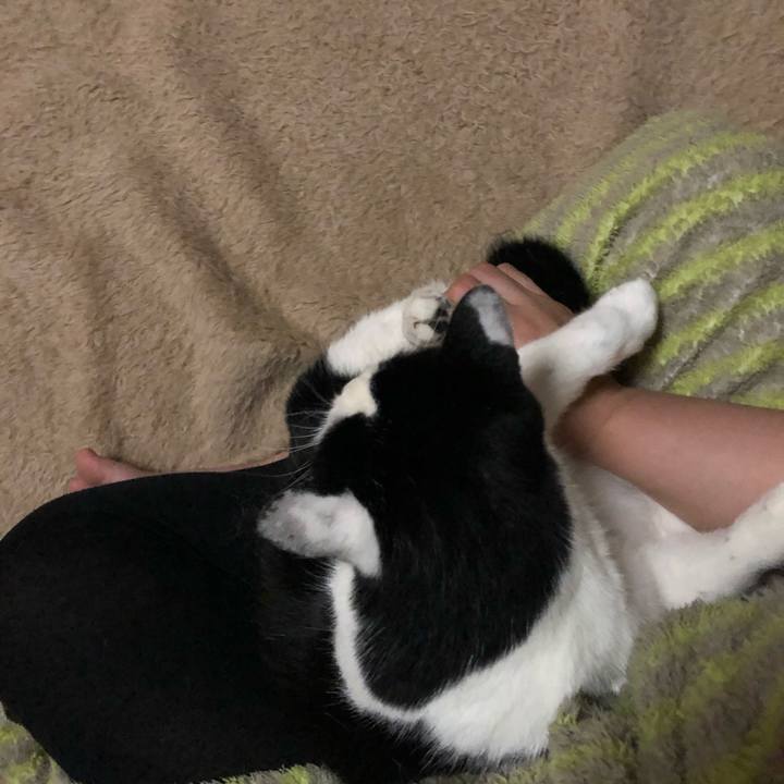 Aa85d11d 51e5 46fc 87e3 3a74474d1519 1614701518280