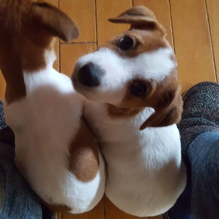 Aa85dcd3 5d0e 4726 a5e7 8b55dc978b43 1707905294064