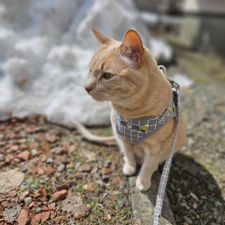 Aa85ec11 d61a 4d25 8bca 48089aa2113c 1743216148310