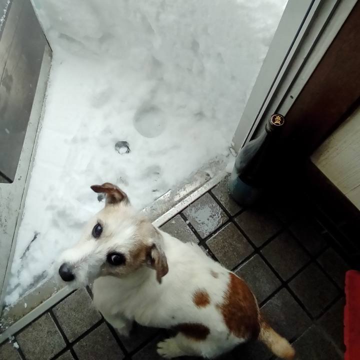 Aa8638b9 3eb4 441c a60c c41e01e42c3a 1610153797427