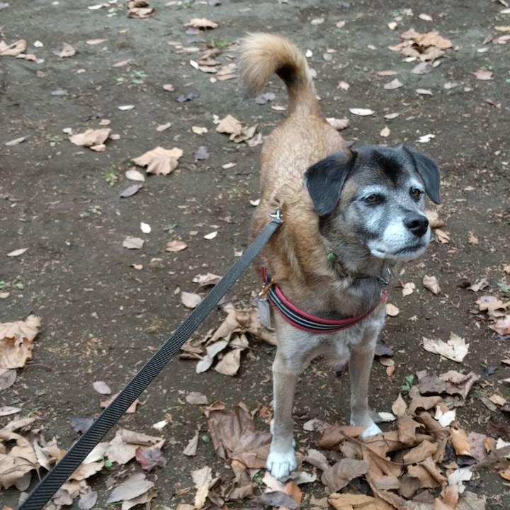 Aa8643bd dbb2 4612 be0f b43d3ed3306e 1513300705264