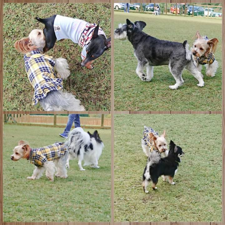 Aa86530d 89cf 4a4d b1da 57576d4f907f 1539503417390