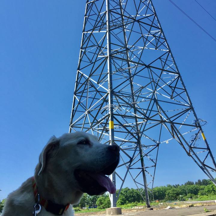 Aa865cfd cca8 4c96 842f a7d305f53805 1526950609613