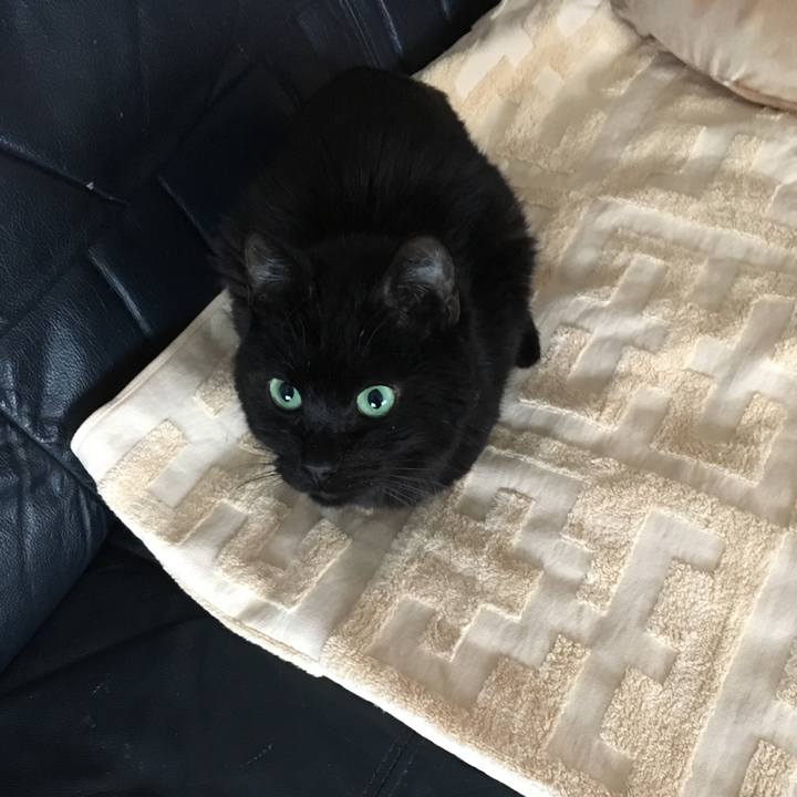 Aa867581 03e2 4775 8797 179a4d57ac1d 1553261541162