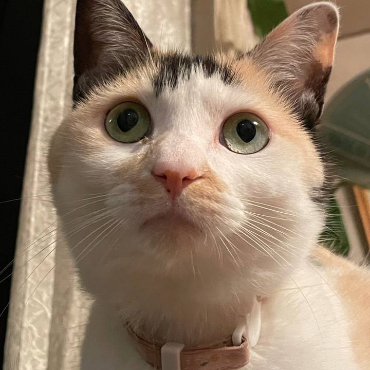 Aa867fd0 ca67 4fc0 9ed8 895550d30fb5 1747141563136