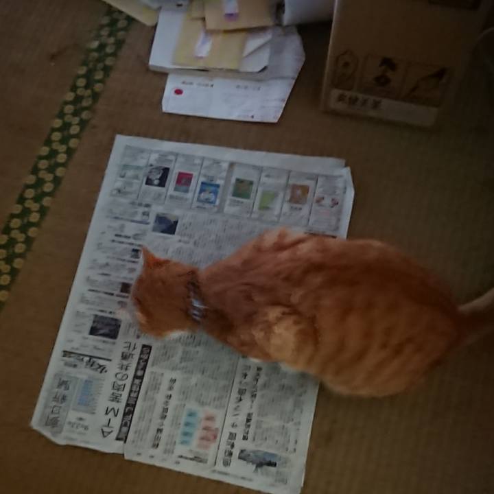 Aa868574 2ca5 41e8 9fa8 057bb0298807 1572904718371