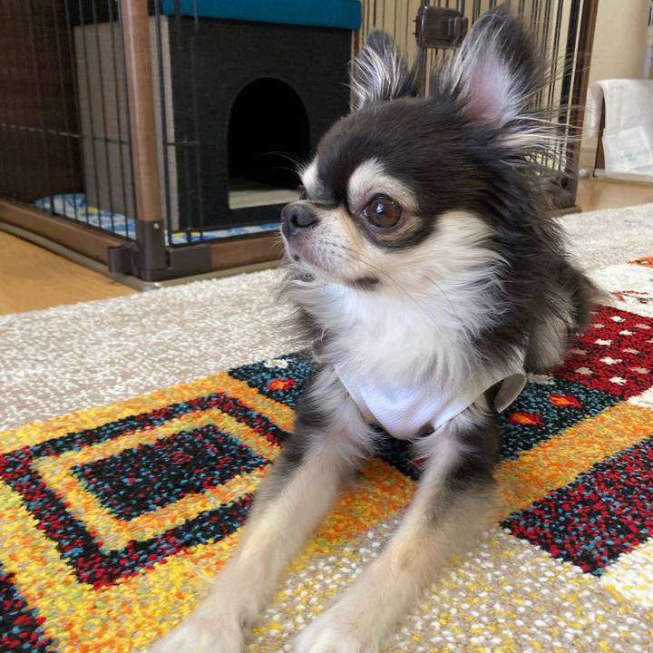 Aa86b066 59e7 4c64 960b 3e33b8e14e11 1691246558754