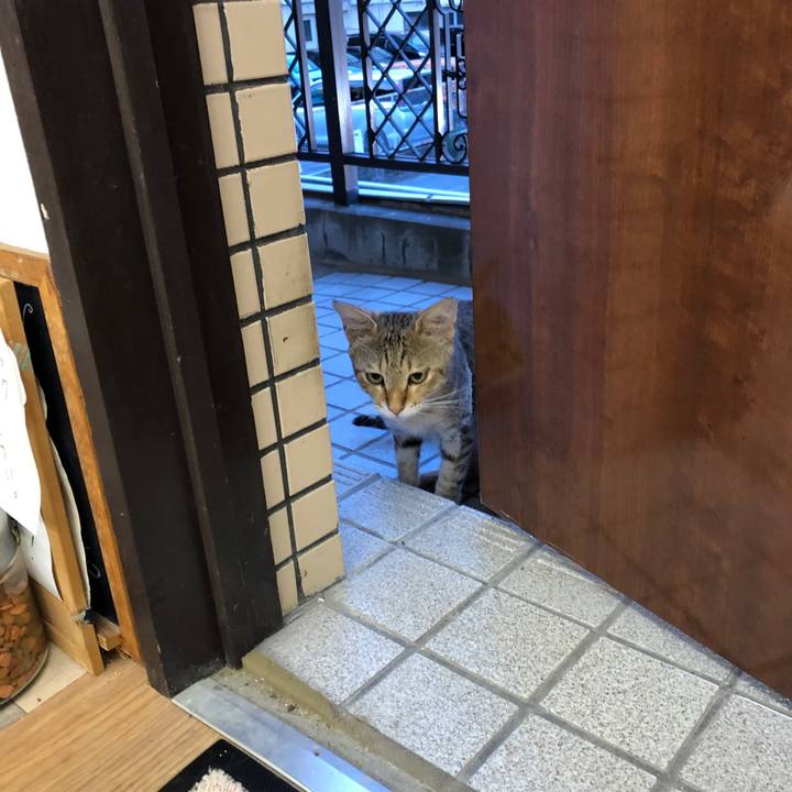 Aa86c15a 8f85 4903 b512 259db4edf7ed 1595031712765