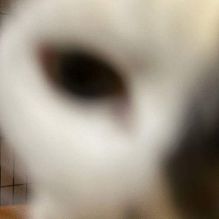 Aa87069c b973 4e22 aaae 45f63fe0ea27 1701433132000