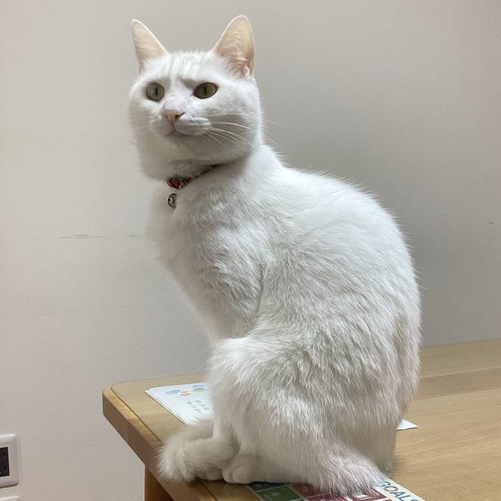 Aa872f9d b0f2 4082 a7b4 3089105fec72 1678760560127